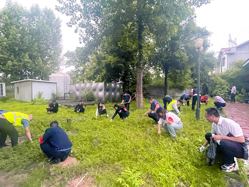 员工齐心协力美化阵地建设环境.jpg